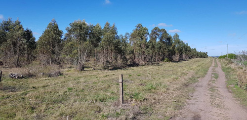 Chacra 3 Has En Venta En Ruta 6 Km 43.600 Paraje Matasiete