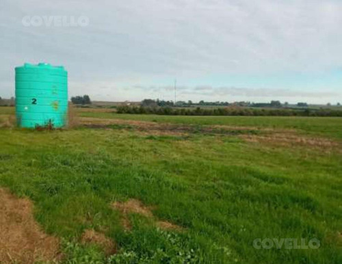 Imagen 4 de 5 de Campo - Otras