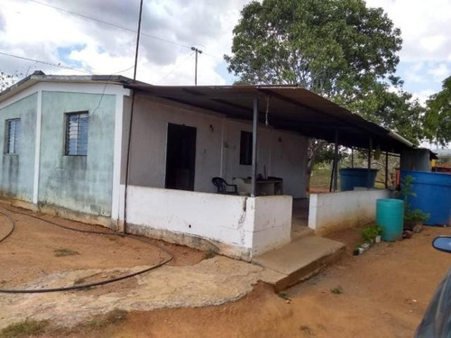 Imagen 21 de 30 de Jose Lopez Ofrece Finca ( Granja Avícola / Agrícola ) En Venta Vía A Duaca Caserio Guayabal Cordero Lara, Venezuela ,j G L Rent - A - House Telf. 0414-5533925 Cod # 22-16836 $ 15000