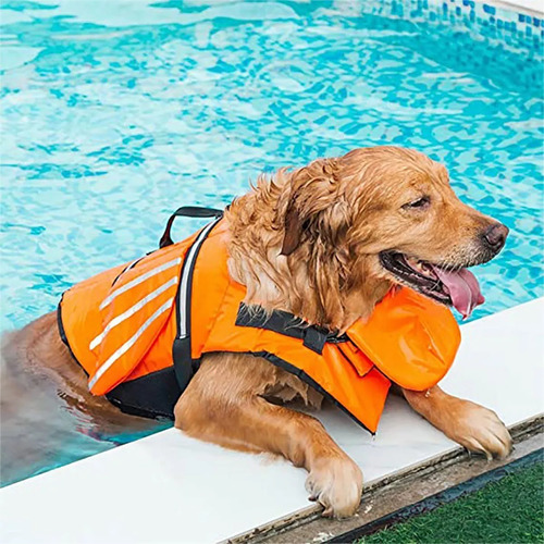 Chaleco Salvavidas Para Perro Traje Baño Flotación Portátil