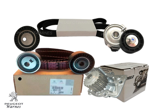 Distribucion + Bba Dolz + Kit Poly V Peugeot 207 C 1.9 D