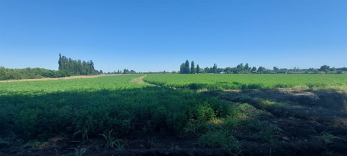 18 Hec Oportunidad Se Vende Terreno Agrícola Retiro Talca