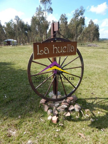 Imagen 1 de 24 de Chacra En Venta 15ha, Ruta 12 Lavalleja