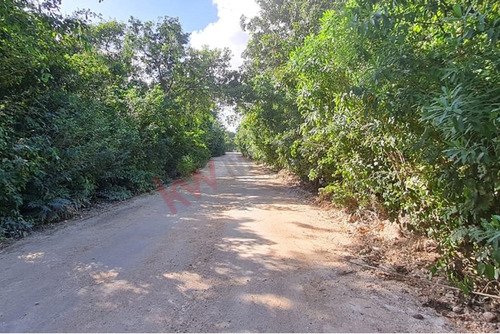 2 Terrenos Juntos 430 M2 Ideal Para Invertir En Cancún, Álamos