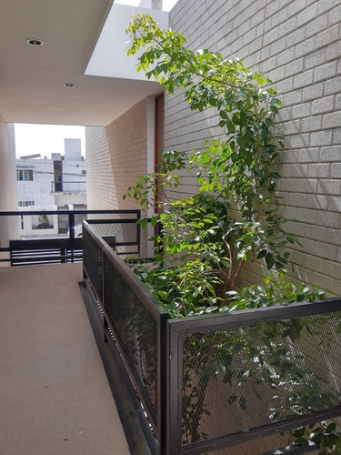 Imagen 6 de 14 de Departamento En Venta En Colonia Vista Alegre, Mérida.