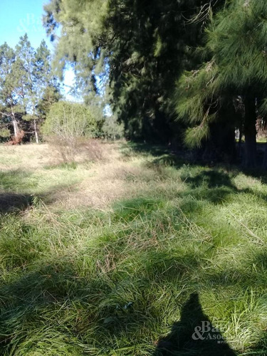 Chacra - Canning (ezeiza)