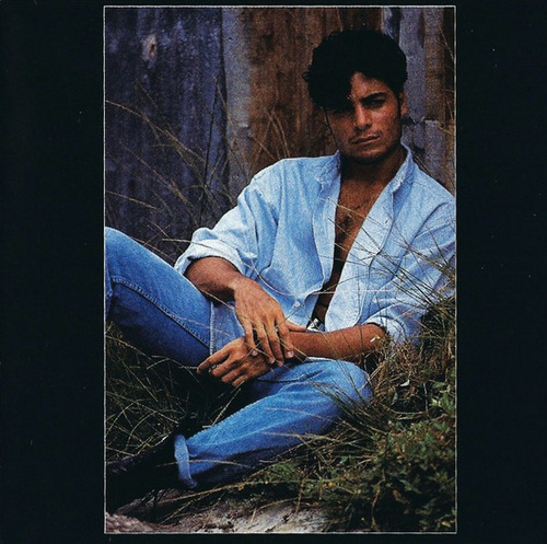Chayanne _ Provócame (cd, Album) (Usado)