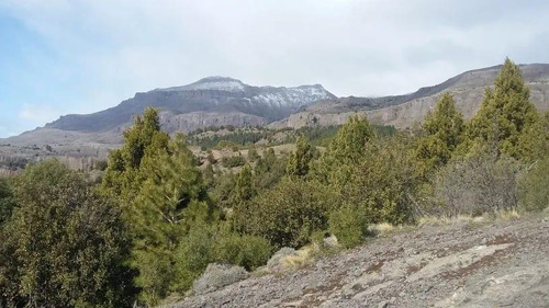 Imagen 17 de 17 de Susana Aravena Propiedades-lote En Venta En San Martin De Los Andes