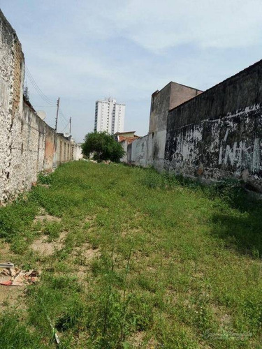 Imagem 11 de 11 de Loja Para Alugar, 500 M² Por R$ 22.000/mês - Pinheiros - São Paulo/sp - Lo1000