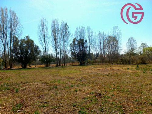 Imagen 5 de 12 de Greenwood Inmobiliaria Vende Ultimo Lote Disponible En Barrio Rincon Cepas De Malbec - Vistalba