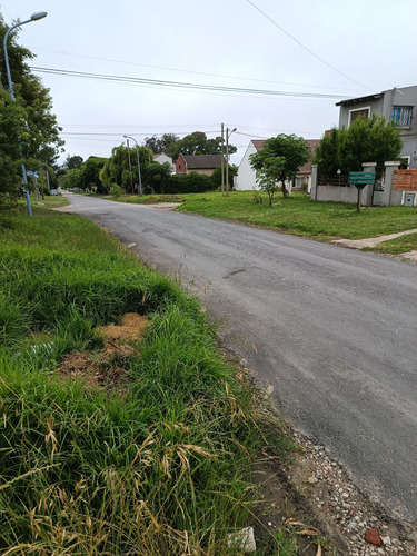 Venta Lote Mario Bravo Y Beltrami
