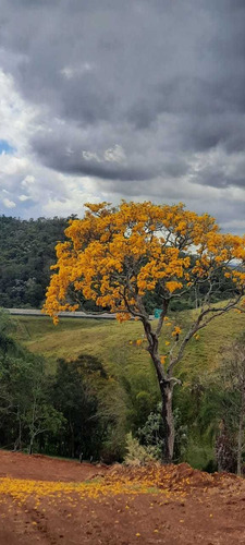 Imagem 10 de 30 de E03- Venha Pro Sossego Do Interior