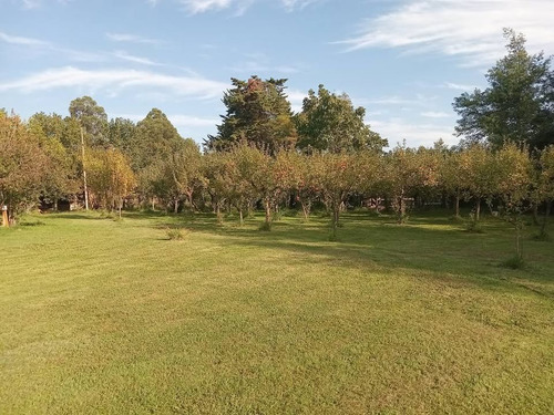 Se Vende Casa 5d5b, 420 M2, Terreno 10.000 Cam Cerro Colora