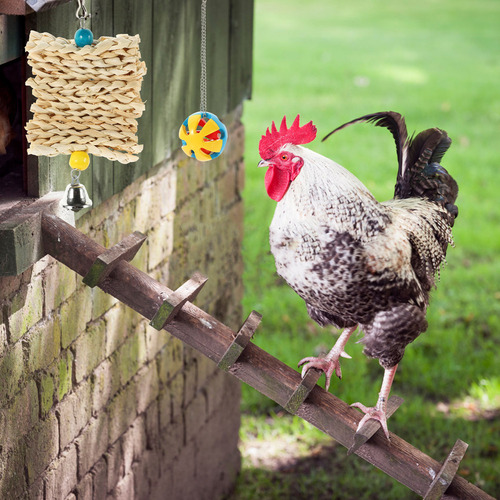 Chicken Toy, Juego De 5 Piezas