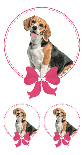 Sticker Beagle Niña 3 Pza Impresion Alta Calidad Mascota