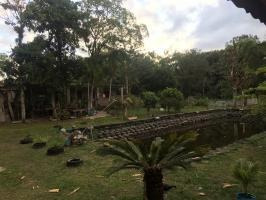 Chácara Com Área De 2 Mil Mts Em Itanhaém Sp - 6821 | Npc