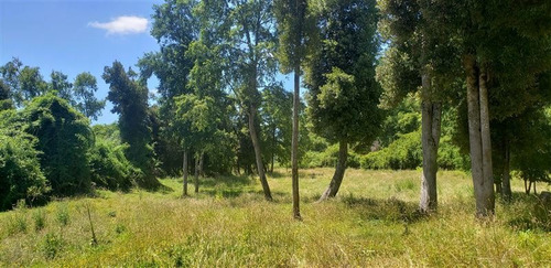 Imagen 10 de 16 de Agrícola En Venta En Lago Ranco