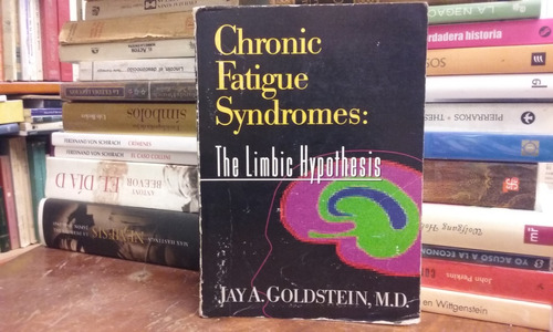 Jaya Goldstein Chronic Fatigue Syndromes: The Limbic Hypothe