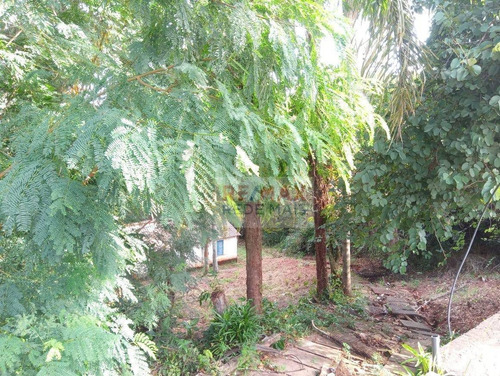 Imagem 10 de 11 de Terreno No Recanto Azul - Próx. Av. Vital Brasil - Te0158