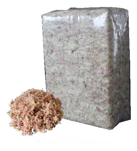 1kg Musgo Sphagnum Esfagno Prensado E Mais Limpo