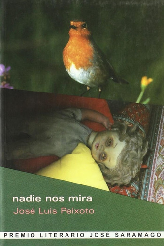 Nadie Nos Mira, De Peixoto, José Luís. Editorial Hiru Argitaletxea, Tapa Blanda En Español