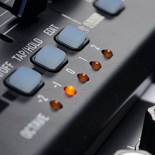 Imagen 9 de 9 de Sintetizador Analógico Behringer Deepmind 12 49 Teclas