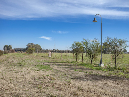 Imagen 6 de 12 de Chacra 1 Ha. - Las Juntas - San Antonio De Areco