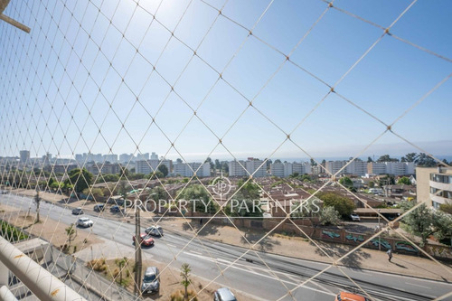 Imagen 4 de 17 de ¡inversionistas Oportunidad, Arrendado!