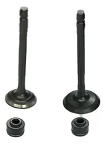 Comprar  Valvulas Adm Y Esc + Reten Válvula Original New Crypton 110