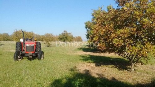 Imagen 9 de 25 de Terreno En Venta O Permuta Ubicado En Punta Indio, Resto De La Provincia