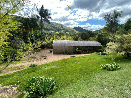 Imagem 7 de 30 de Chácara 2048m2, Casa Sede, Loja, Depósito, Viveiro De Plantas Com Estufa, Acesso Asfaltado, Poço Caipira, Ótima Localização - Ch00256 - 70814196