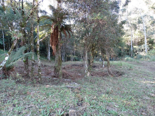 Imagem 3 de 15 de Terreno À Venda, 463 M² Por R$ 446.800,00 - Vivendas Do Arvoredo - Gramado/rs - Te0093