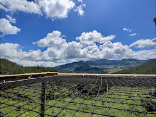 Rhbr-10332 (finca Piso 1, Jerico)