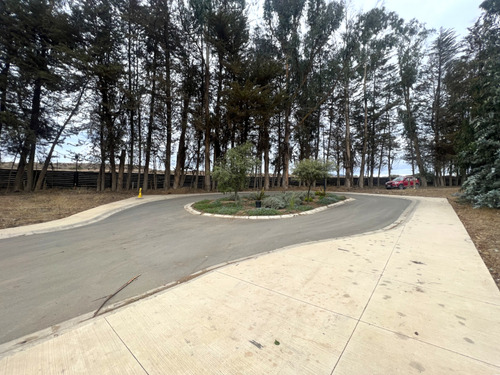 Imagen 16 de 22 de Sitio En Condominio De Categoría En Venta En Puchuncaví