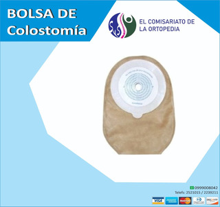 Patr/ón de follaje Dibujado a Mano con dise/ño de cer/ámica Ornamental Arte de Estilo de Dibujo Cactus Lymknumb Fundas de Toallas de Microfibra para Mujer Verde Negro Blanco