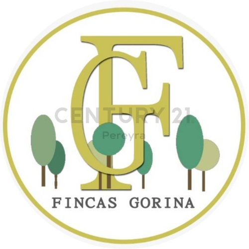 Imagen 1 de 8 de 147 Y 486 - Lote En Venta, Fincas De Gorina