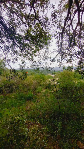 Terreno En Tanti, Plano Y Arbolado. Servicios Y Escritura. 