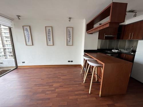 Arriendo Departamento 1 Dormitorio Providencia