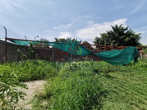 Casa En Venta En Yecapixtla Morelos De 1 Nivel Con Alberca Y Amplio Jardín