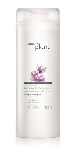 Shampoo Revitalizacion Post Quimica Natura Original 