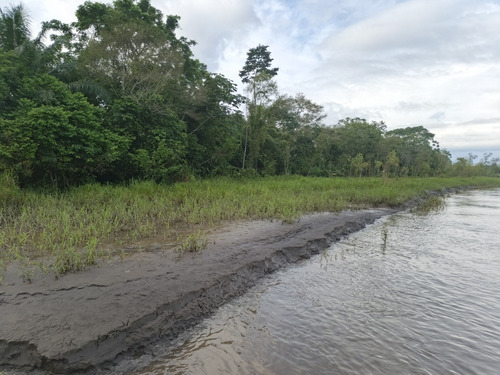 Finca Cienaga Del Opon
