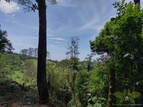 Imagem 8 de 8 de Terreno Para Venda Em Itapecerica Da Serra, Jardim Renata - 641_2-1449011