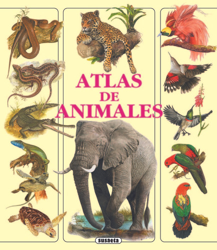 Libro Atlas De Animales - Jirã­, Fã©lix