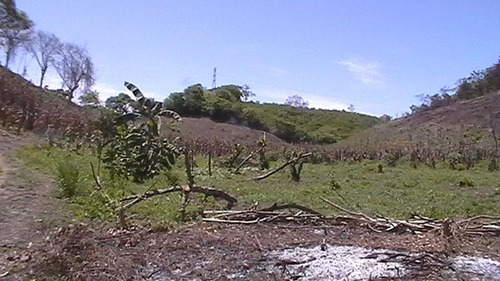 Vendo Rancho 20 Has Libramiento Adolfo López Mateos Tuxpan Veracruz