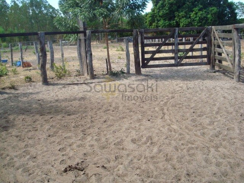 Fazenda A Venda No Bairro Zona Rural Em Taguatinga - To. - 5675-1