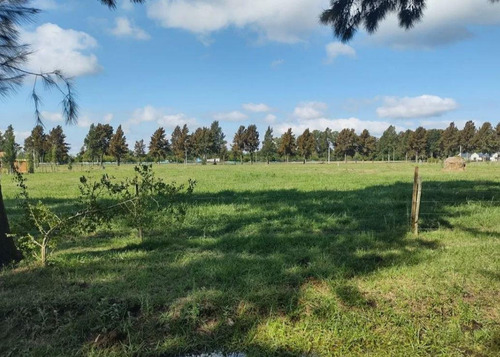 Terreno Venta 5000 Mts 2 Totales - Estancia Las Malvinas