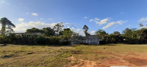 Imagem 14 de 15 de Terreno Comercial - Prospera - Ref: 20779 - V-20779