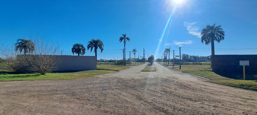 Venta | Permuta -terreno - Barrio El Molino Roldán, San Lorenzo.