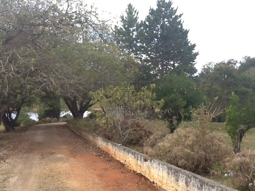 Imagem 2 de 30 de Chácara/fazenda/sítio Com 4 Dormitórios À Venda Por R$ 7.000.000,00 No Bairro Águas Claras - Piraquara / Pr - Ch1601