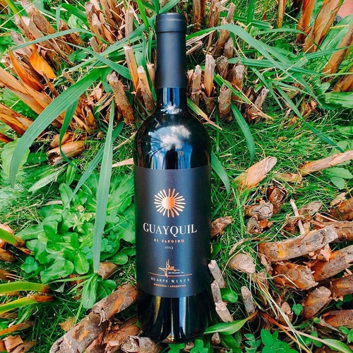 Imagen 2 de 2 de Huarpe Wines Guayquil Vino Guayquil El Elegido Blend 750ml. - Huarpe Wines - Tinto - Blend - 750 mL - Botella - Unidad - 1